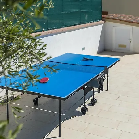 Monteci Πούλα
